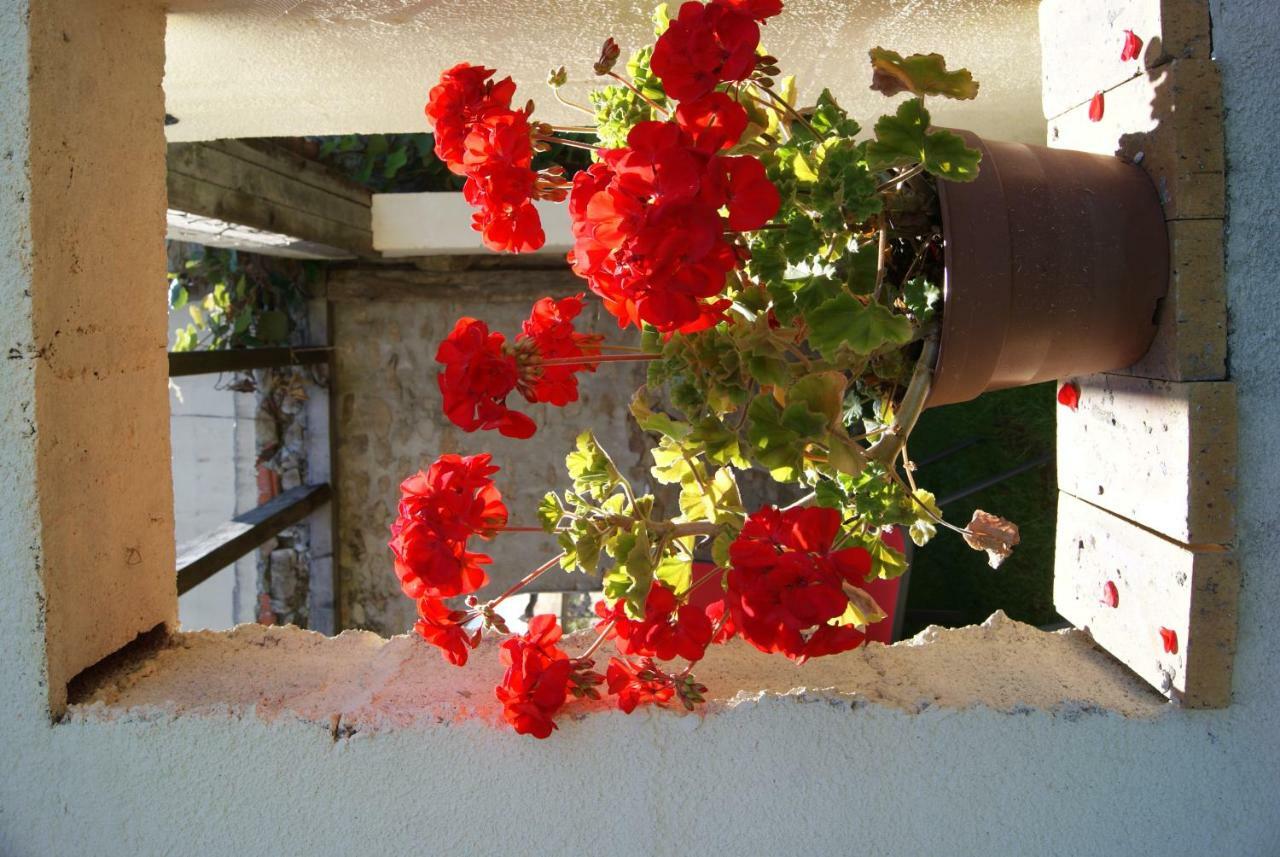 38 Friaudour Bed & Breakfast Saint-Pardoux  Luaran gambar